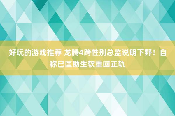 好玩的游戏推荐 龙腾4跨性别总监说明下野！自称已匡助生软重回正轨