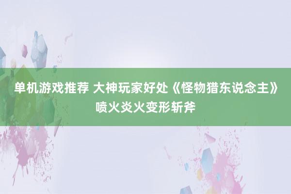 单机游戏推荐 大神玩家好处《怪物猎东说念主》喷火炎火变形斩斧